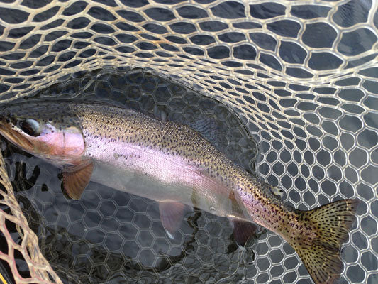 Delayed Harvest And Stocked Trout Streams Fly Fishing Report – Murray's ...