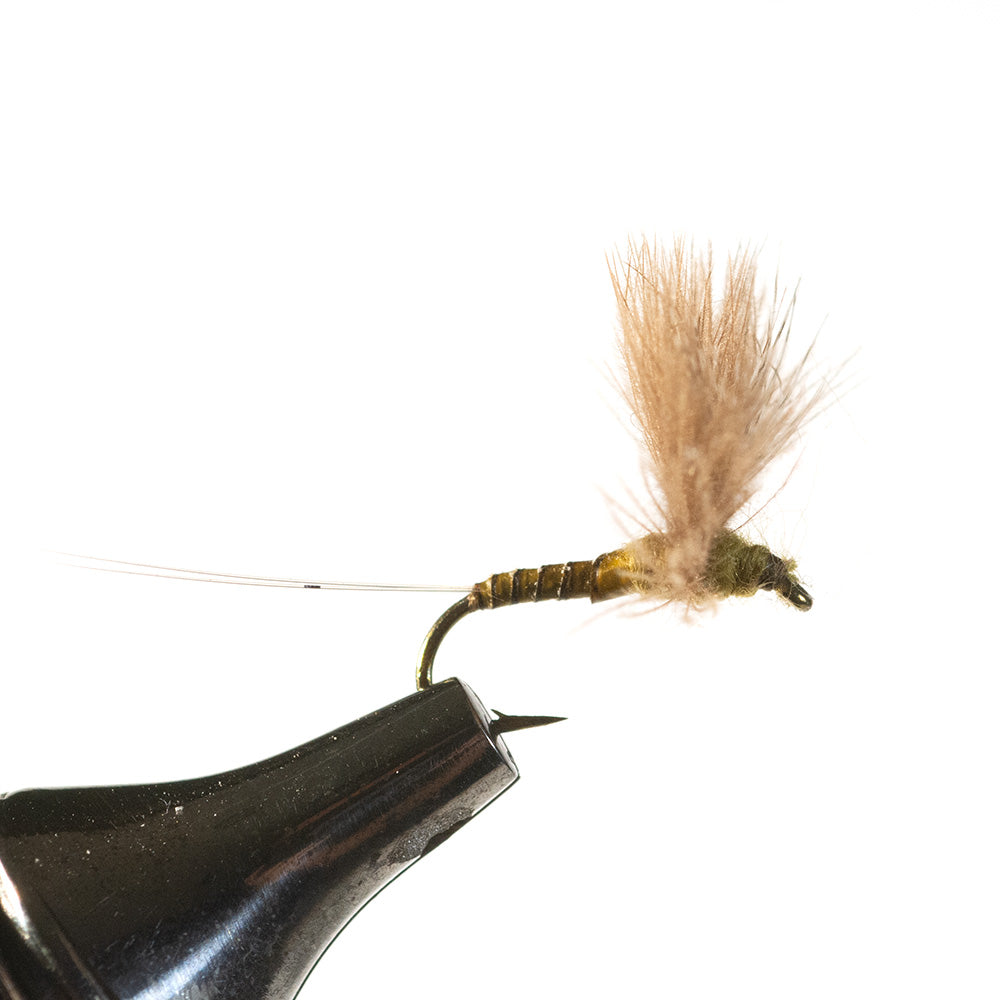 CDC Blue Wing Olive