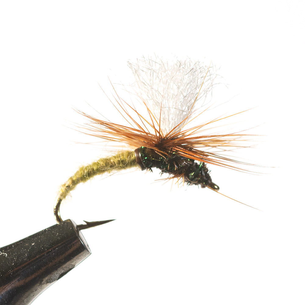 Fly Fishing Tactical KLINKHAMMER X 16 Dry Flies Sizes 12-14 set of Trout  Flies With clip shut box : : Sports & Outdoors