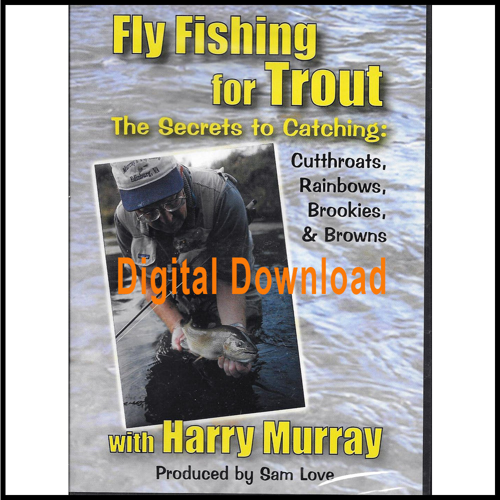 Fly Fishing for Trout Video with Harry Murray l Murray's Fly Shop