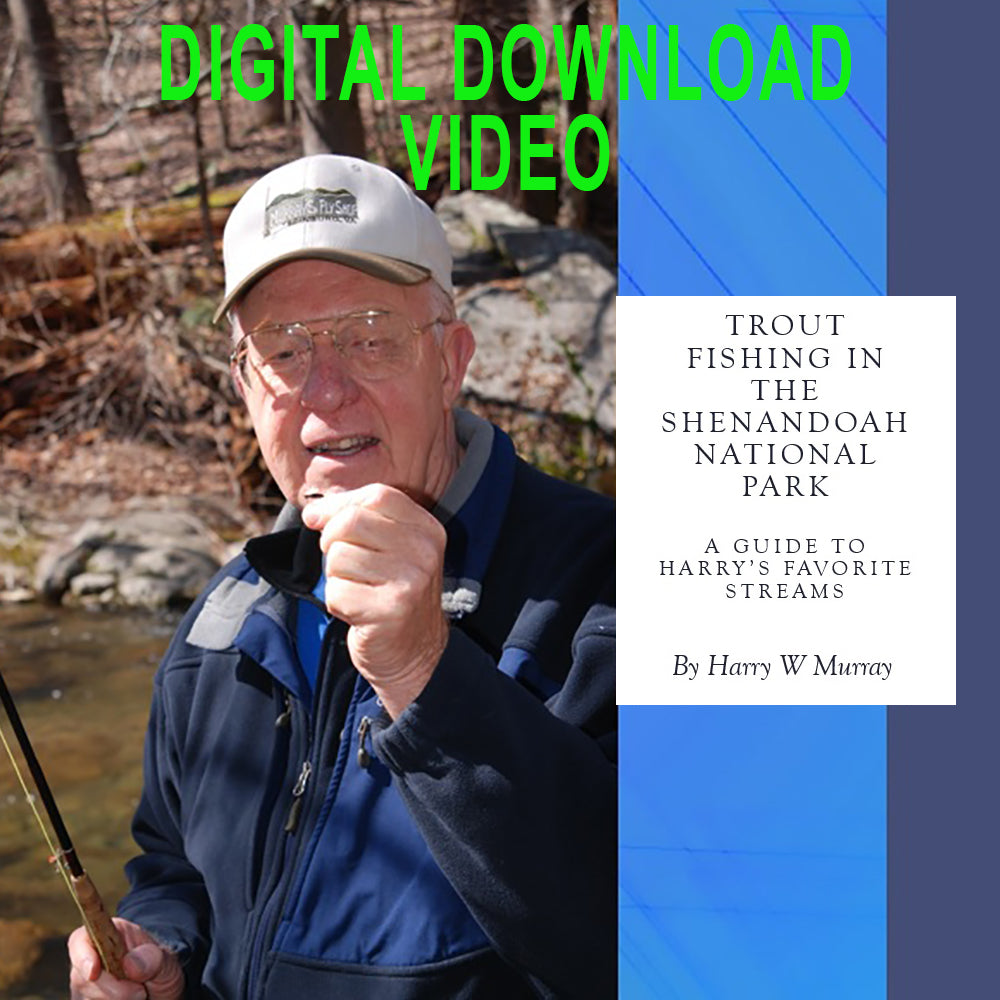 Trout Fishing in the Shenandoah National Park by Harry W. Murray