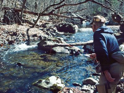 Mountain Trout Streams Fly Fishing Report - July 17, 2018