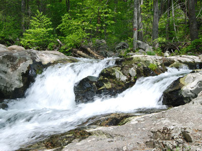 Mountain Trout Streams Fly Fishing Report - Update June 11, 2018