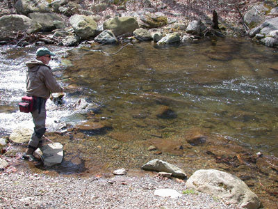 Mountain Trout Streams Fly Fishing Report - June 14, 2018