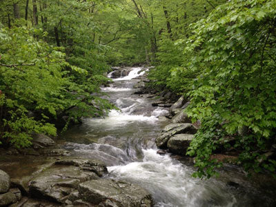 Mountain Trout Streams Fly Fishing Report - May 22, 2018