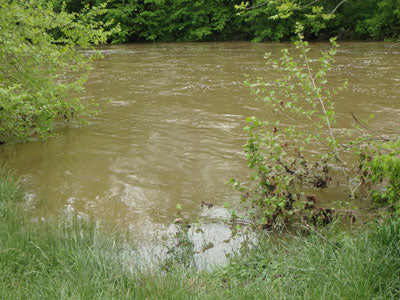 Smallmouth Bass Streams Fly Fishing Report - June 11, 2018