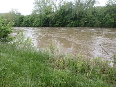 Smallmouth Bass Streams Fly Fishing Report - May 29, 2018