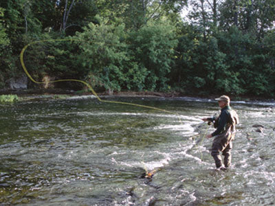 Stocked Trout Streams Fly Fishing Report - May 29, 2018