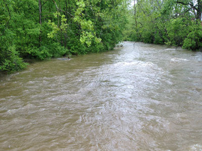 Stocked Trout Streams Fly Fishing Report - June 11, 2018