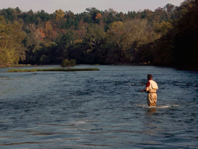 Smallmouth Bass Streams Fly Fishing Report - October 17, 2019