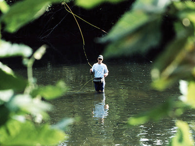 Smallmouth Bass Streams Fly Fishing Report - June 24, 2021