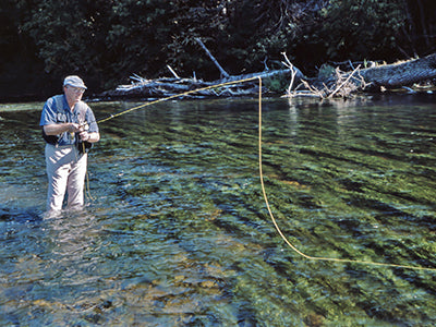 Smallmouth Bass Streams Fly Fishing Report - July 2, 2021