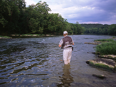 Smallmouth Bass Streams Fly Fishing Report - July 2, 2020