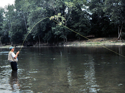 Smallmouth Bass Streams Fly Fishing Report - July 16, 2020