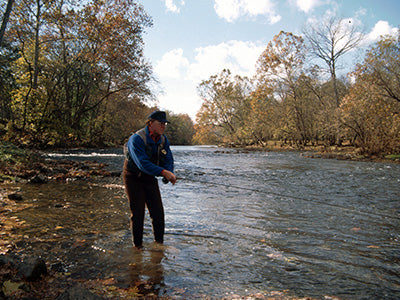 Smallmouth Bass Streams Fly Fishing Report - October 16, 2020