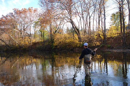 Smallmouth Bass Streams Fly Fishing Report - October 23, 2024