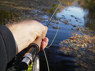 Smallmouth Bass Streams Fly Fishing Report - Update October 30, 2021