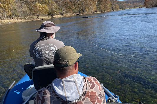 Smallmouth Bass Streams Fly Fishing Report - November 14, 2024