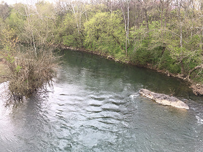 North Fork Shenandoah River Edinburg Virginia - Murray's Fly Shop