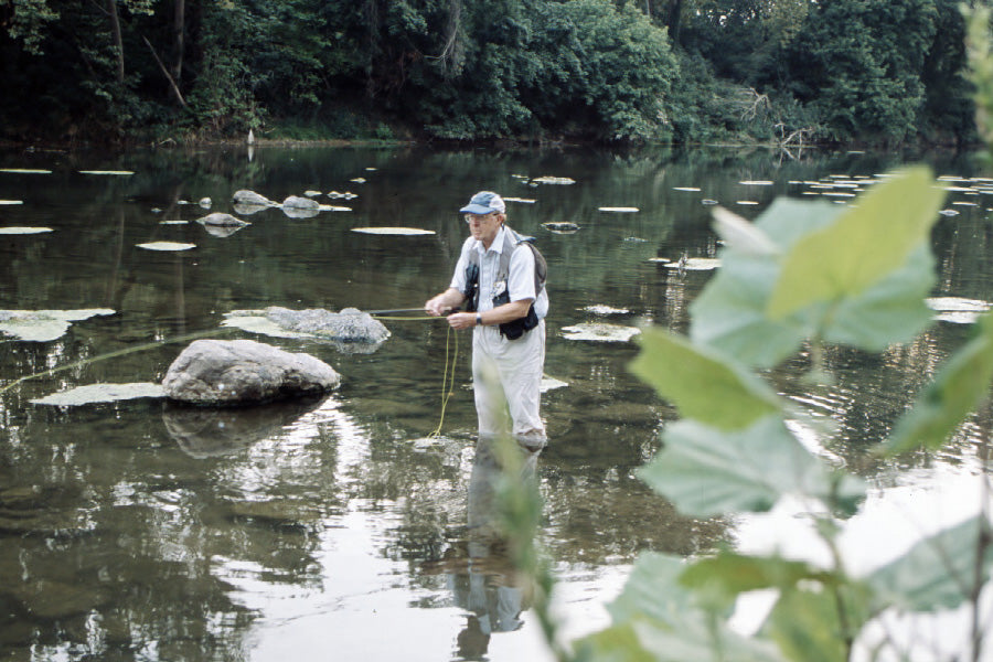 Smallmouth Bass Streams Fly Fishing Report - July 3, 2024