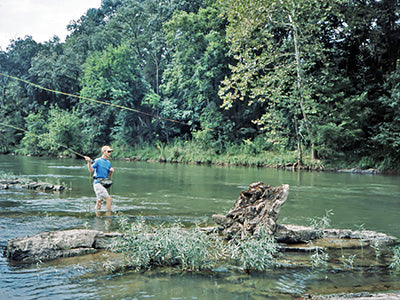 Smallmouth Bass and Carp Fly Fishing Report - July 30, 2020