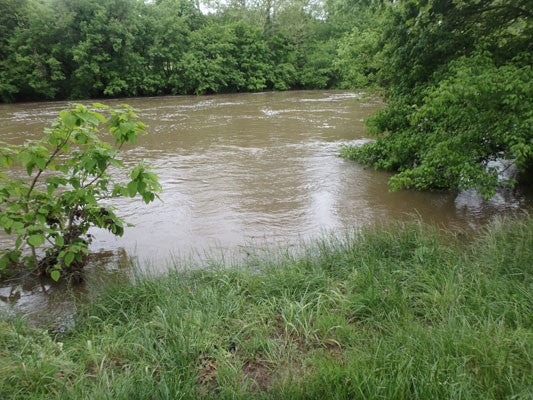 Smallmouth Bass Streams Fly Fishing Report UPDATE- July 29, 2017