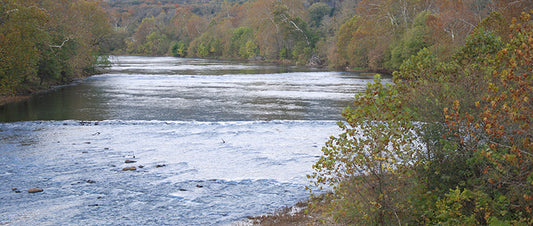 Smallmouth Bass Streams Fly Fishing Report - December 5, 2019