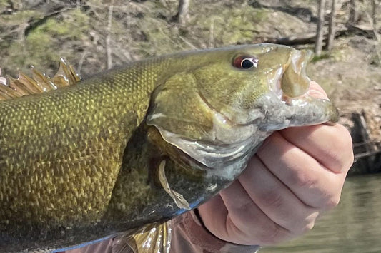 Smallmouth Bass Streams Fly Fishing Report- March 6, 2025