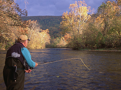 Smallmouth Bass Streams Fly Fishing Report - November 10, 2021