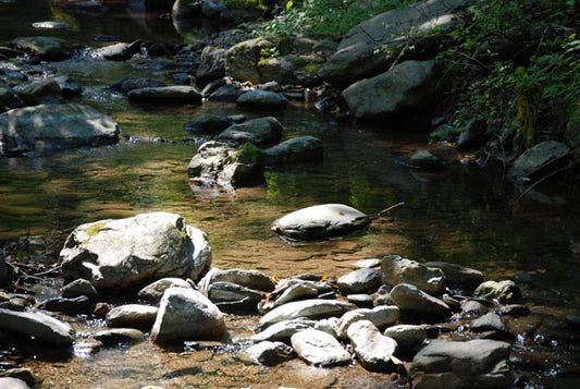 Low Mountain Trout Streams