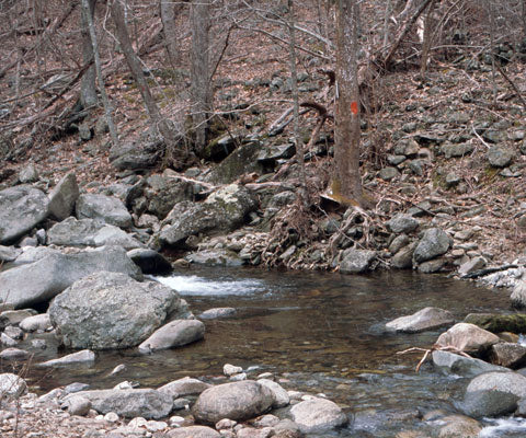 Mountain Trout Streams