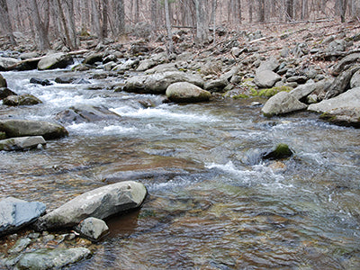 Mountain Trout Streams Fly Fishing Report - February 13, 2020