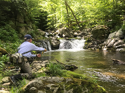 Mountain Trout Streams Fly Fishing Report - June 18, 2020