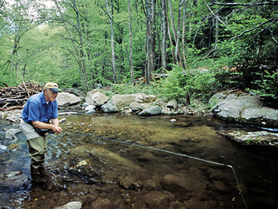 Mountain Trout Streams Fly Fishing Report - July 2, 2020