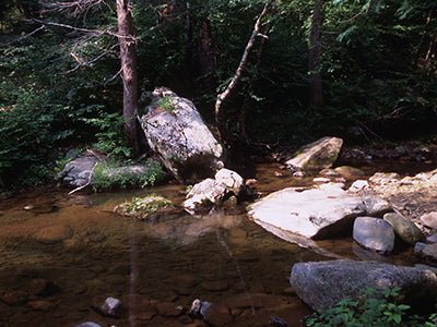 Mountain Trout Streams Fly Fishing Report - July 16, 2020