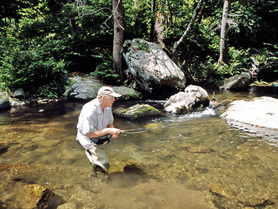 Mountain Trout Streams Fly Fishing Report - July 21, 2021