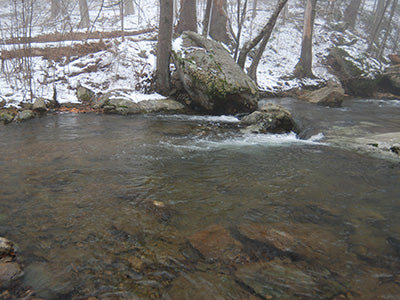 Mountain Trout Streams Fly Fishing Report - December 12, 2019