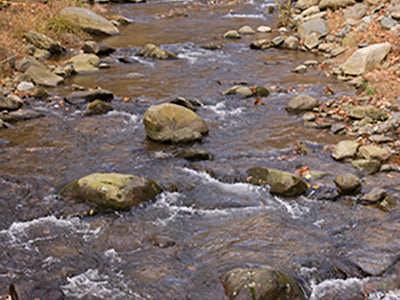 Mountain Trout Streams Fly Fishing Report - January 15, 2020