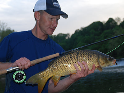 Smallmouth Bass & Carp Streams Fly Fishing Report - July 23, 2020