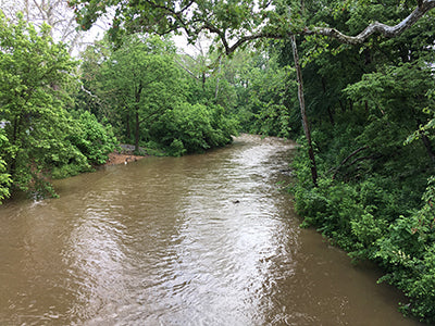 Stocked Trout Streams Fly Fishing Report - June 10, 2020