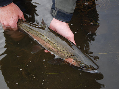 Stocked Trout Streams Fly Fishing Report - February 13, 2020