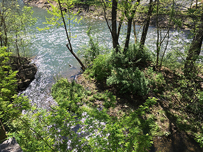 Stocked Trout Streams Fly Fishing Report - May 7, 2020