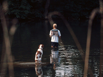 Stocked Trout Streams Fly Fishing Report - July 2, 2020