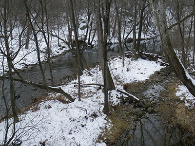 Stocked Trout and Delayed Harvest Streams Fly Fishing Report - February 4 2021