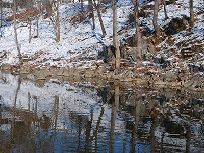 Stocked Trout Streams Fly Fishing Report - December 12, 2019