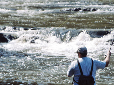 Smallmouth Bass Streams Fly Fishing Report - April 4, 2019