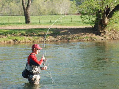 Smallmouth Bass Streams Fly Fishing Report - May 30, 2019