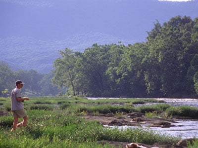 Smallmouth Bass Streams Fly Fishing Report - August 16, 2019