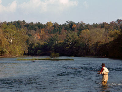 Smallmouth Bass Streams Fly Fishing Report - October 3, 2019