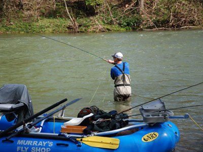 Smallmouth Bass Streams Fly Fishing Report - November 1, 2019